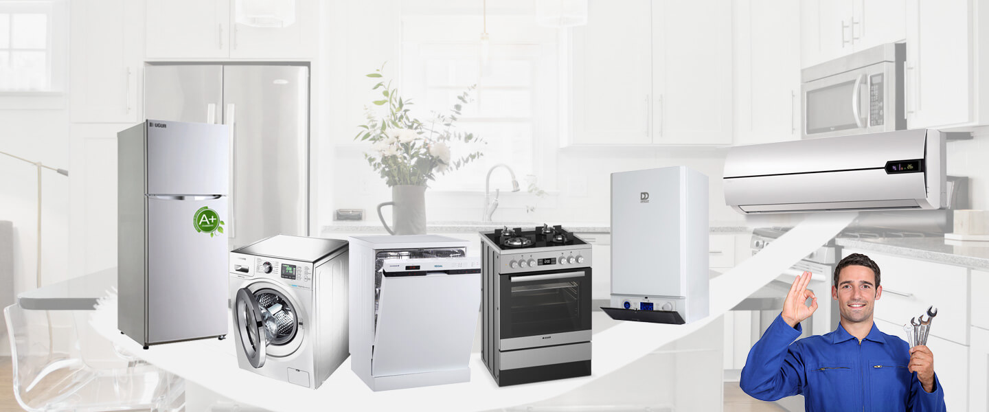 Aladağ Electrolux Servisi